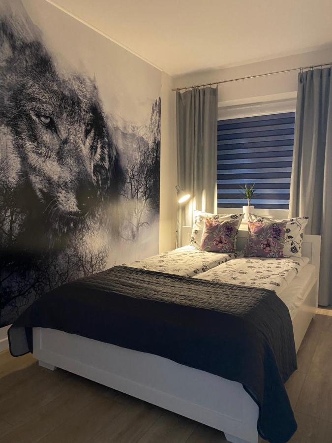 Apartament Bieszczadzkie Widoki อุสชิกีดอลเน ภายนอก รูปภาพ